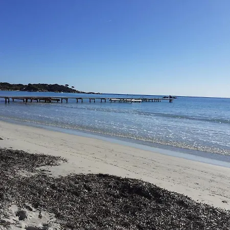 Semesterbostad La Maison Sous Les Oliviers Casa D'iloa Porto-Vecchio (Corsica)