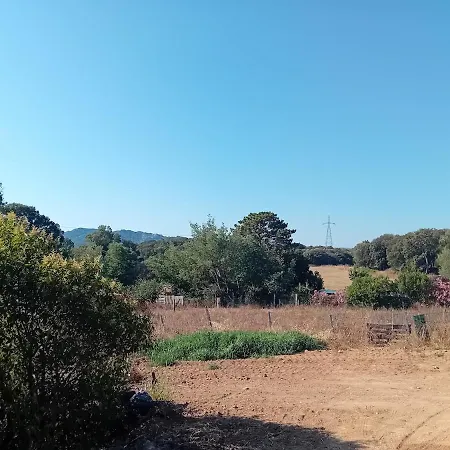 La Maison Sous Les Oliviers Casa D'iloa Semesterbostad Porto-Vecchio (Corsica)