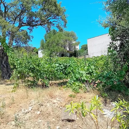 Semesterbostad La Maison Sous Les Oliviers Casa D'iloa Porto-Vecchio (Corsica)