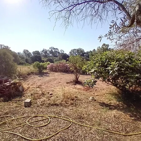 Semesterbostad La Maison Sous Les Oliviers Casa D'iloa
