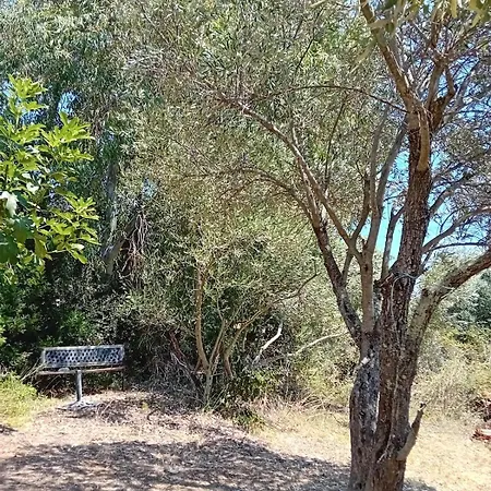 La Maison Sous Les Oliviers Casa D'iloa