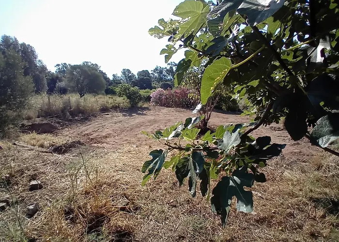 La Maison Sous Les Oliviers Casa D'iloa Holiday home