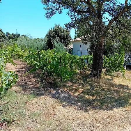 La Maison Sous Les Oliviers Casa D'iloa * بورتو فيكشْيو