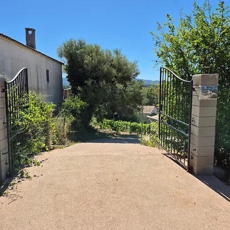 La Maison Sous Les Oliviers Casa D'iloa Semesterbostad Porto-Vecchio (Corsica)