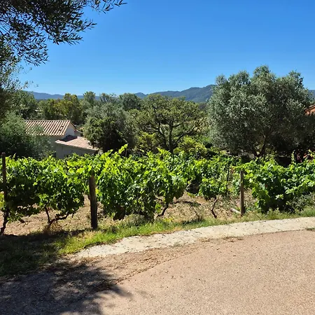 Semesterbostad La Maison Sous Les Oliviers Casa D'iloa