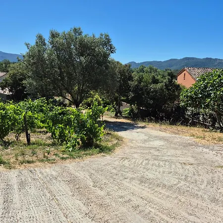 La Maison Sous Les Oliviers Casa D'iloa Semesterbostad Porto-Vecchio (Corsica)