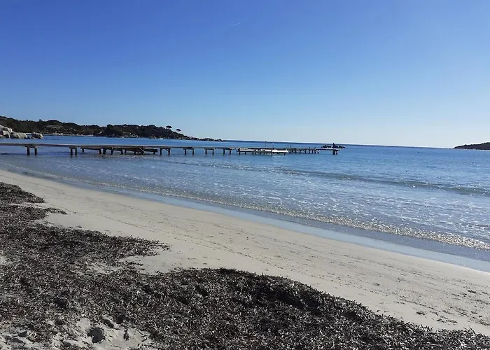 別荘 La Maison Sous Les Oliviers Casa D'iloa ポルトヴェッキオ