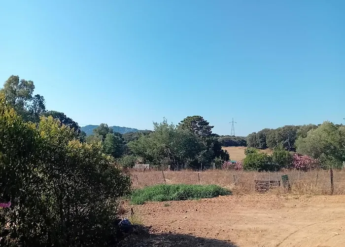 La Maison Sous Les Oliviers Casa D'iloa 別荘 ポルトヴェッキオ