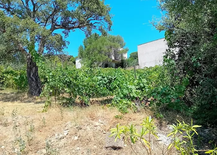 別荘 La Maison Sous Les Oliviers Casa D'iloa ポルトヴェッキオ