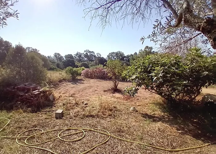 別荘 La Maison Sous Les Oliviers Casa D'iloa