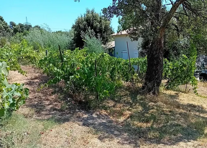 La Maison Sous Les Oliviers Casa D'iloa * Πόρτο Βέκιο