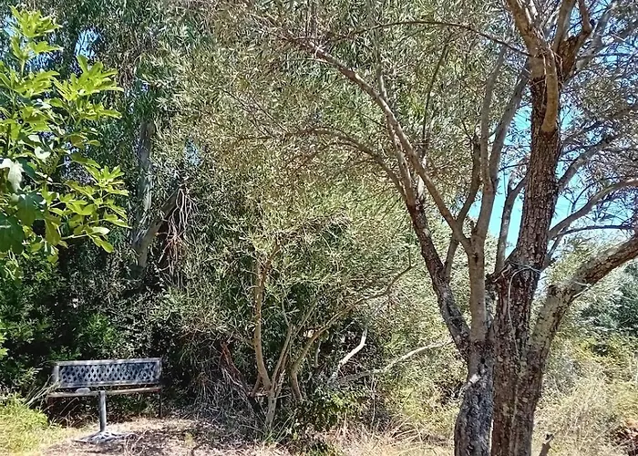 La Maison Sous Les Oliviers Casa D'iloa